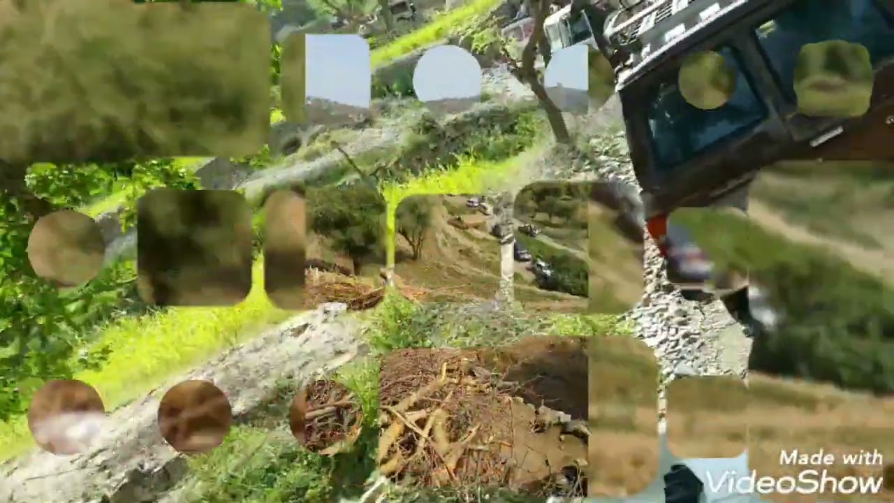 مواكب الاعراس في حليه (العريش)