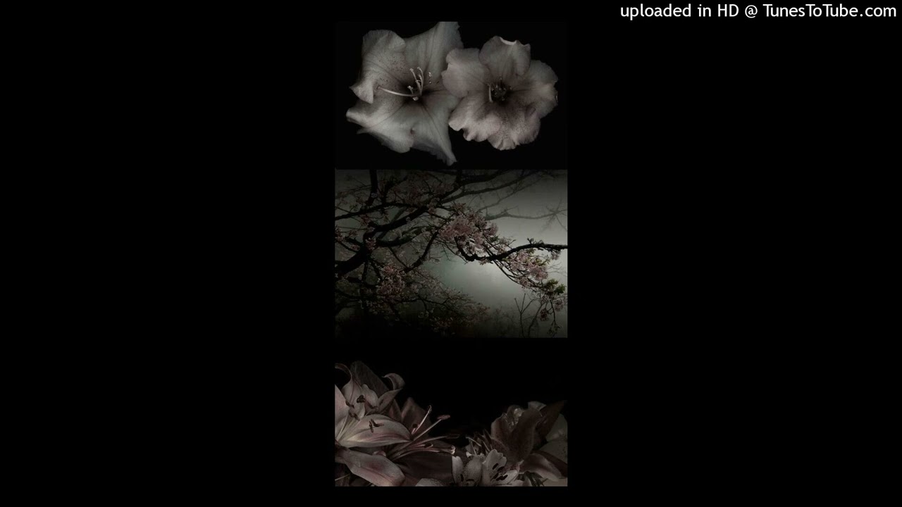 [free] lucy bedroque type beat - 