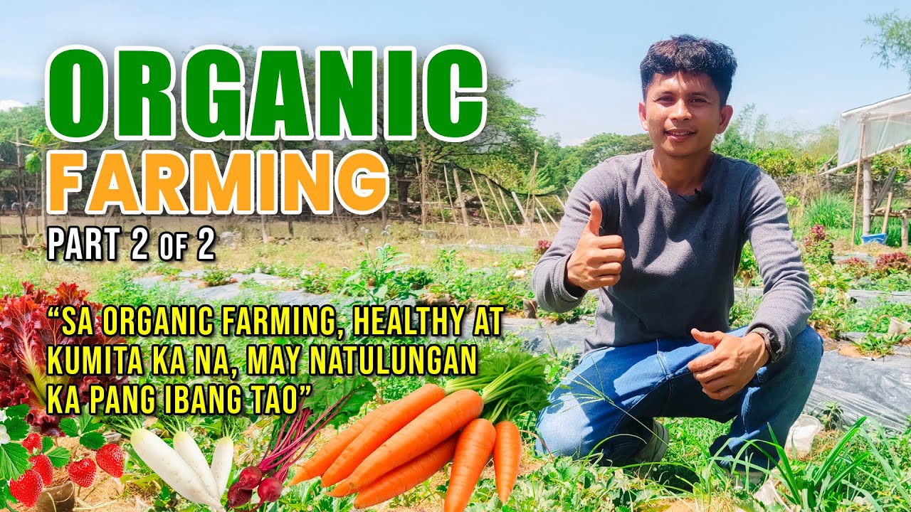 AMAZING ORGANIC FARMING: NURSING GRAD, DI MAN PINALAD SA BOARD EXAM, WAGI NAMAN SA ORGANIC FARMING