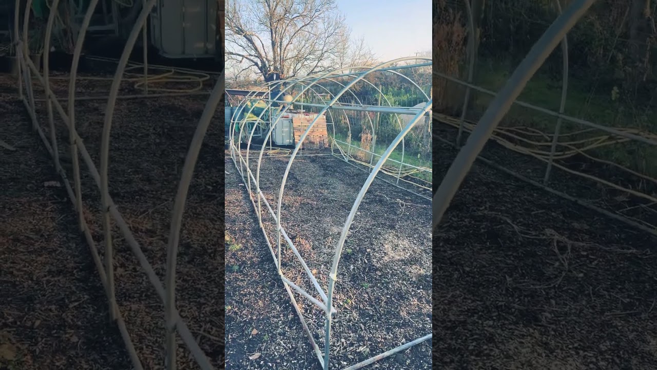 Poly tunnel project #gardening #smallholding #fruit #gardeningideas