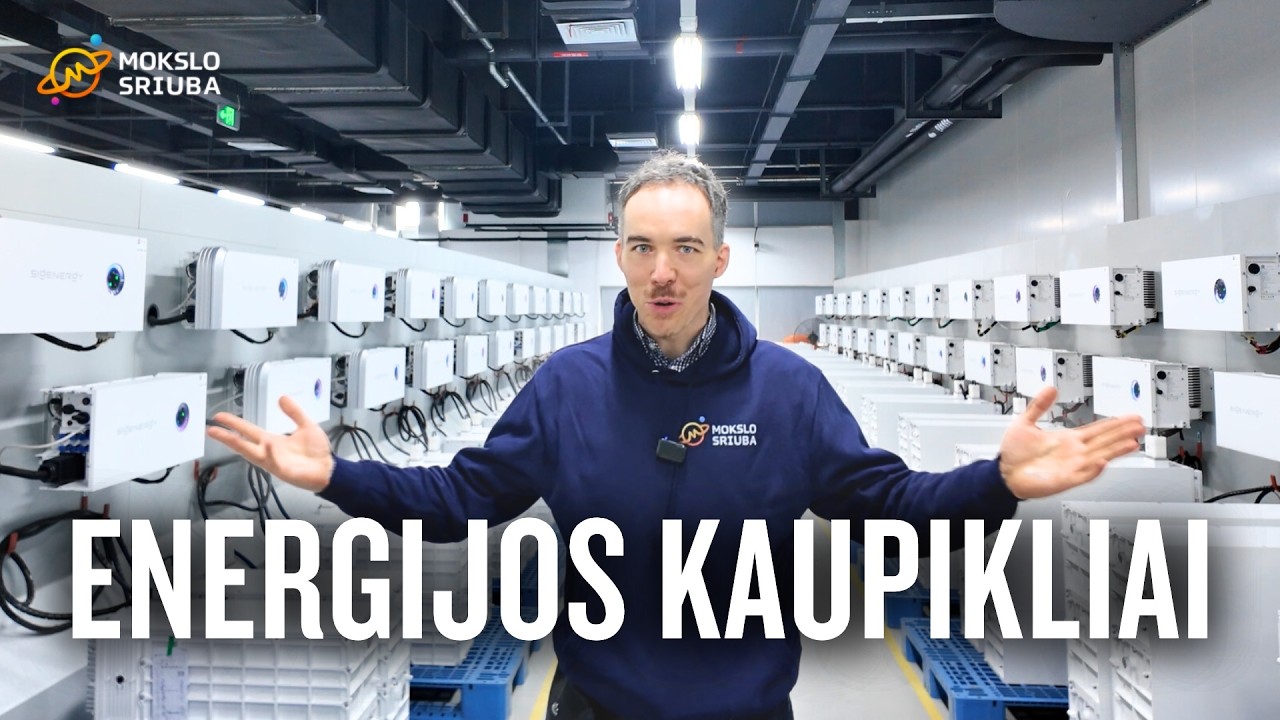 Kelionė į Kiniją: ką sužinojau apie elektros energijos kaupiklius?