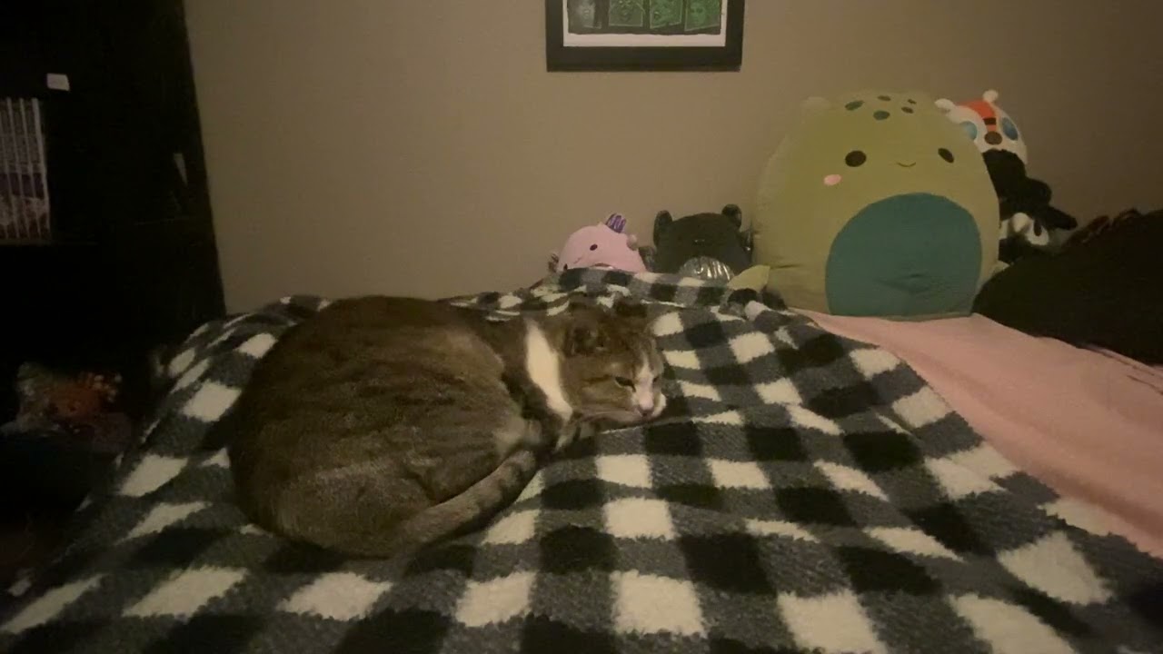 Astrid falling asleep 
