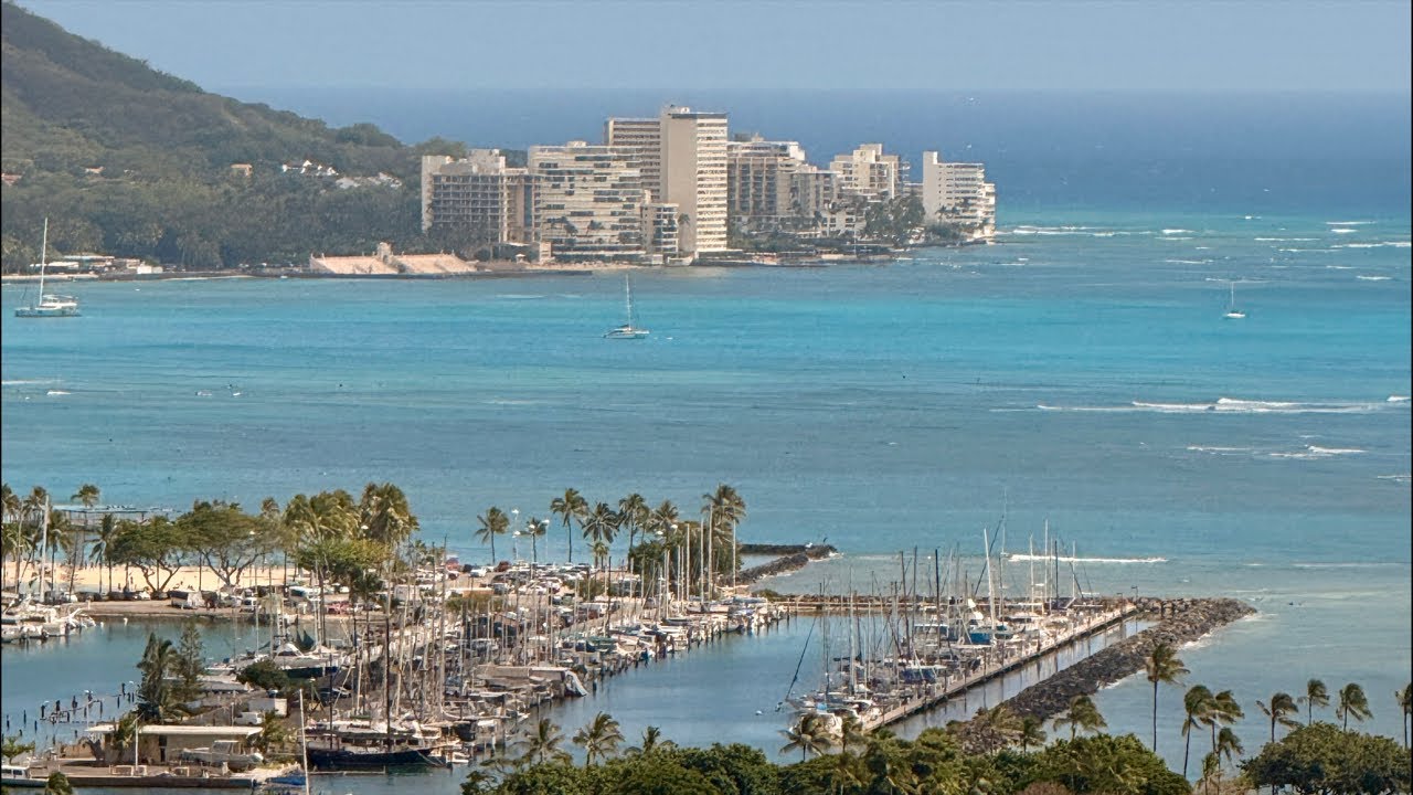 Live from paradise 🌴 Come chill with me on the stream!