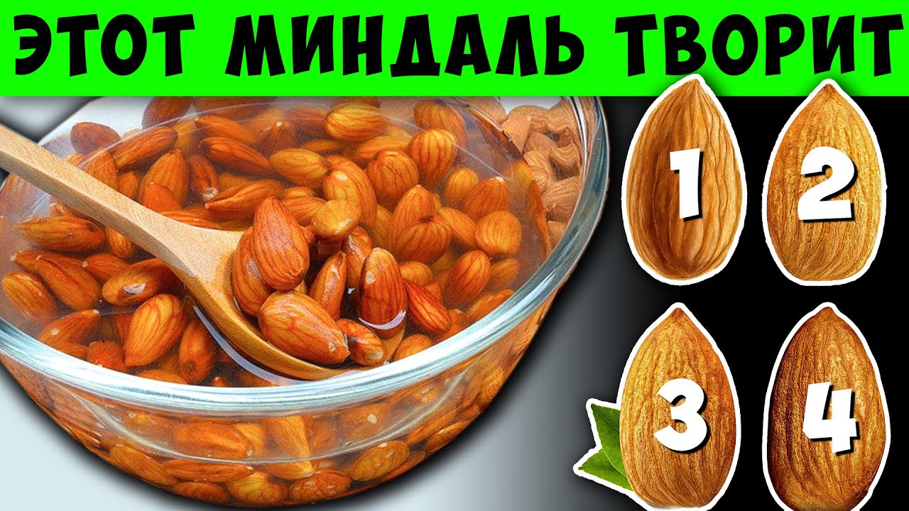 Замочи всего 4 Миндаля на ночь и Удивительные вещи Произойдут с твоим Телом