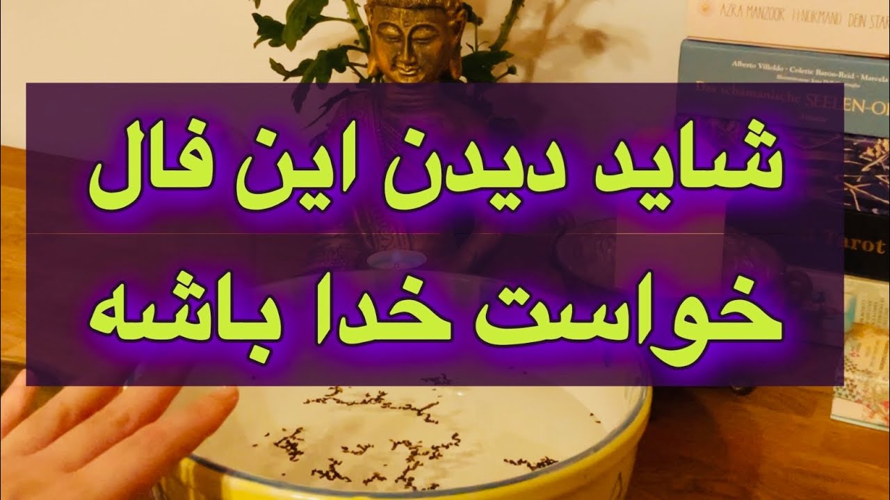 فال رحمانی ||| شاید دیدن این فال خواست خدا باشه🔮🪬