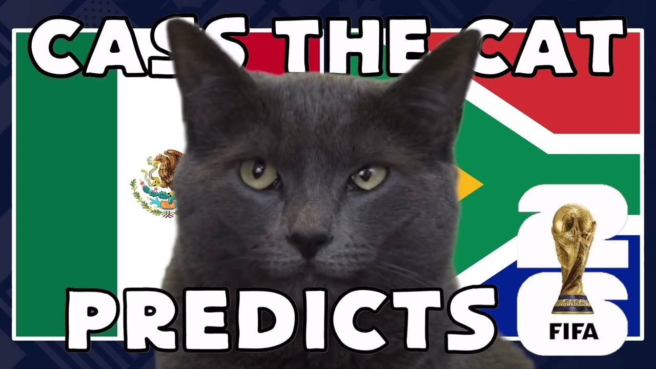 Mexico vs South Africa | 2026 FIFA World Cup Cass the Cat 🐾 Prediction