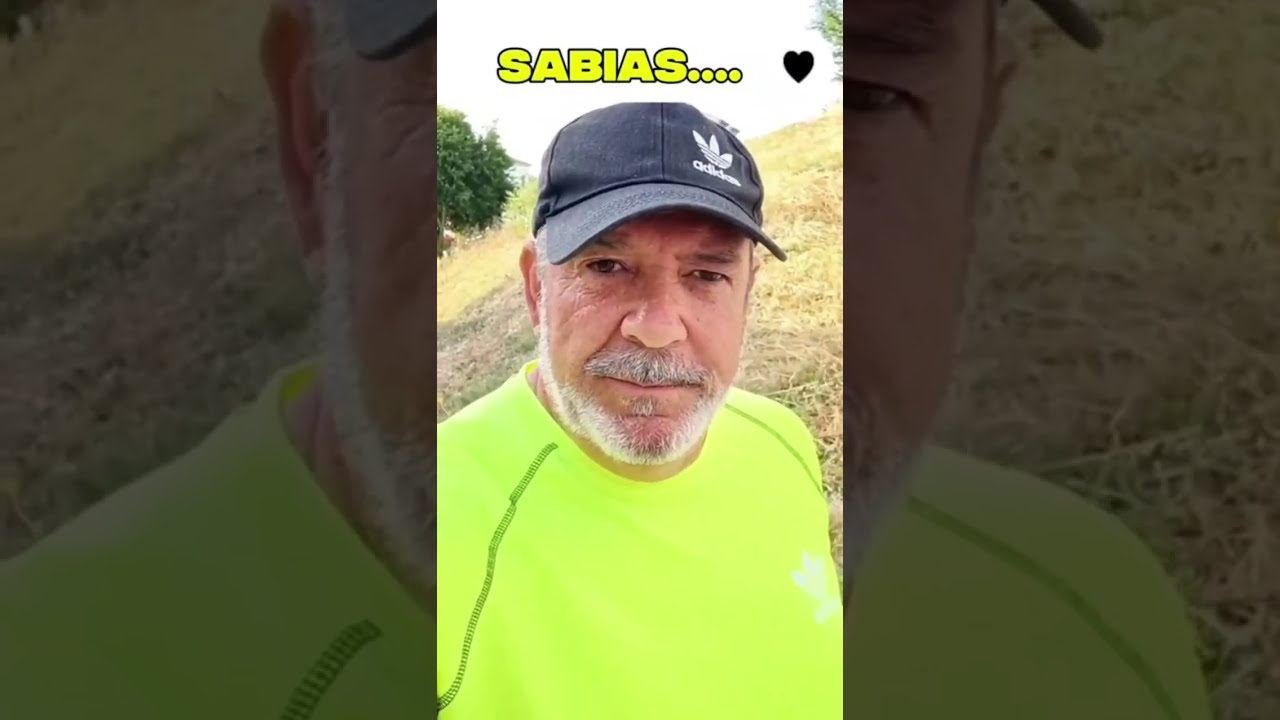 🧢 La ametralladora 😁🤣😆😃 