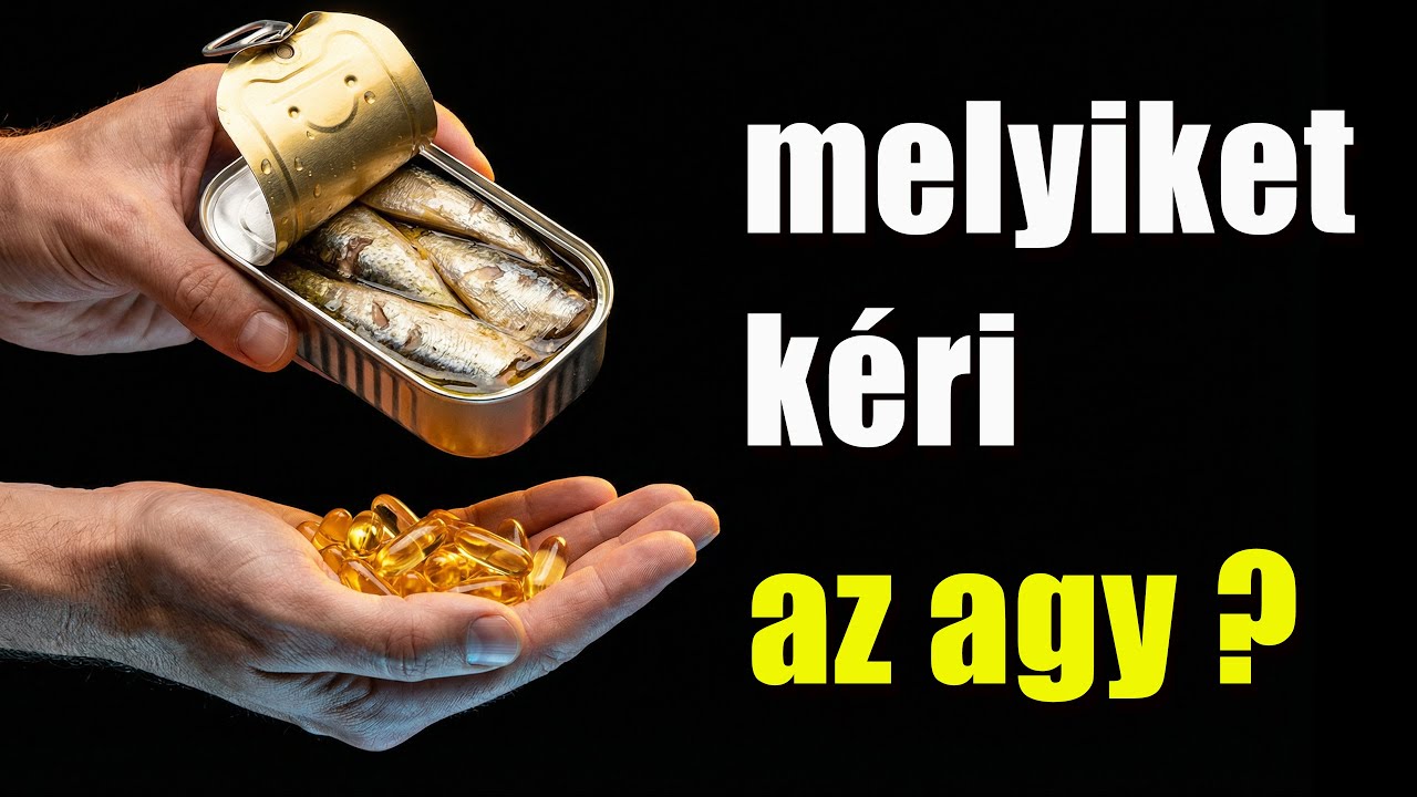 Miért nem jut el a legtöbb Omega-3 az agyba?