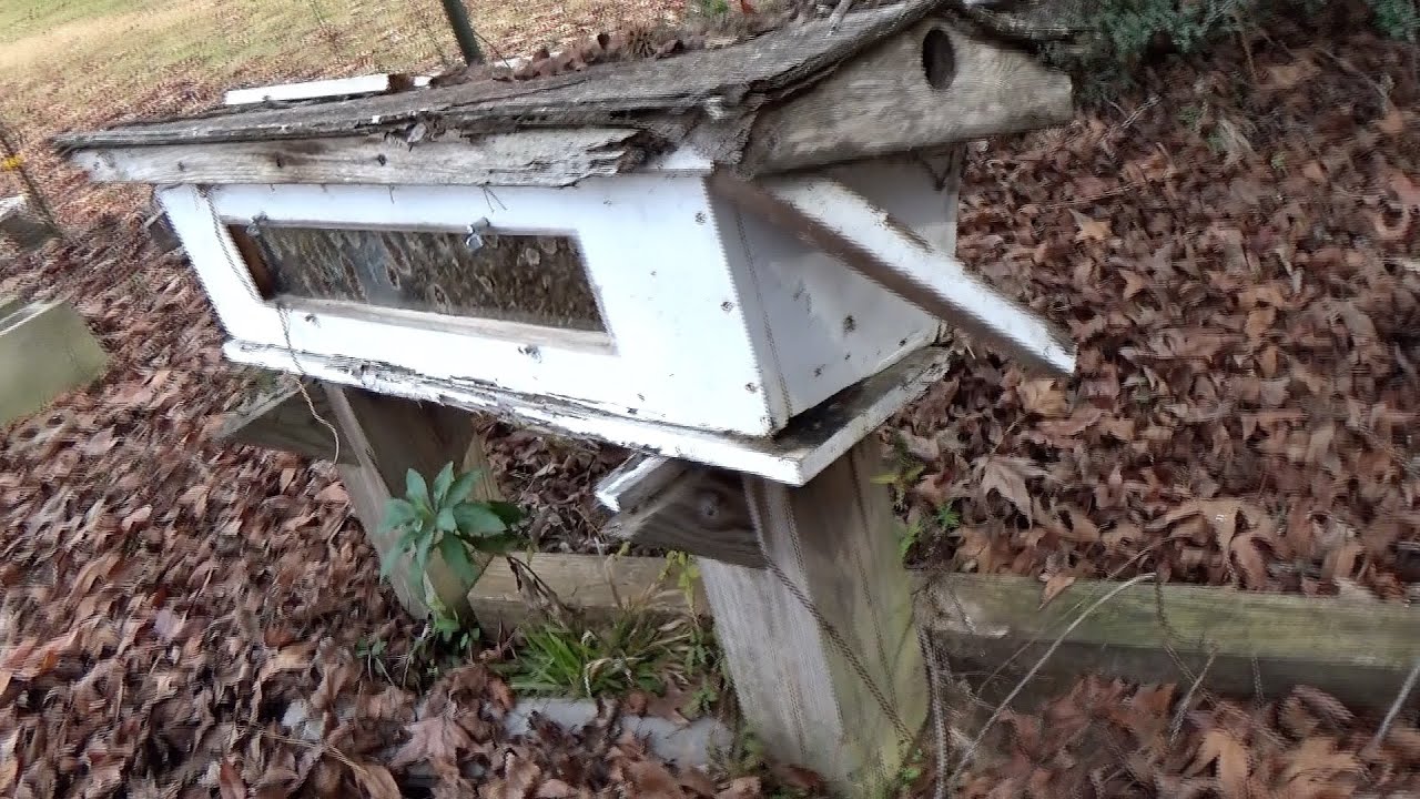 It's been 14 years since this top bar has been opened and we are transferring the bees.