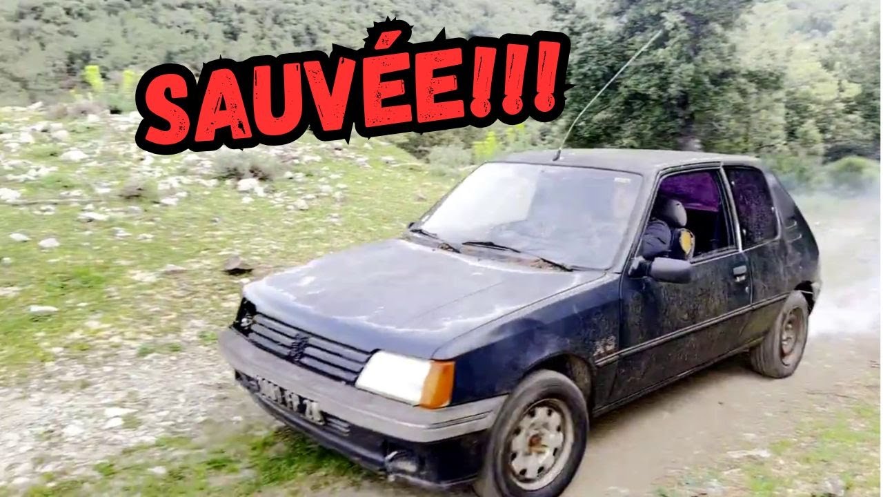 ELLE REVIENT DE L'AU DELA : 205 XS ABANDONN&Eacute;E 17 ANS DANS LES RONCES !