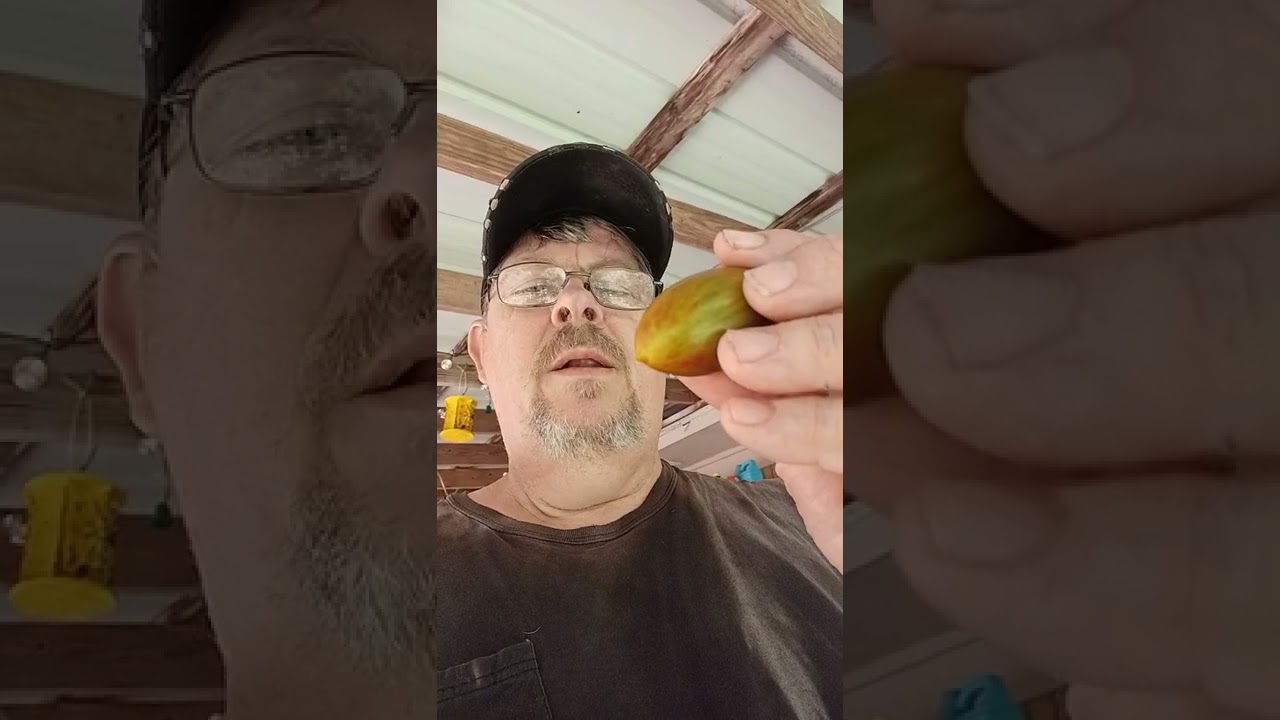 BRAD'S ATOMIC GRAPE TOMATO - REVIEW