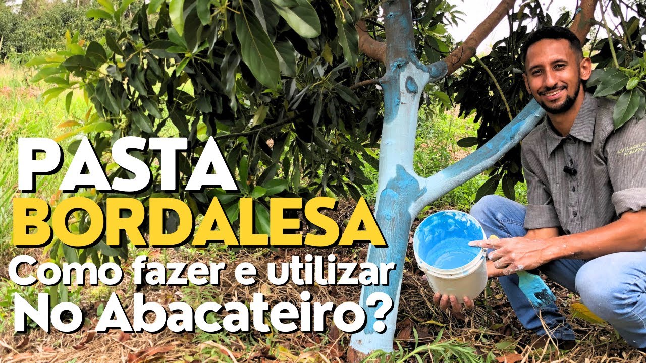 Passo a Passo para PREPARAR PASTA BORDALESA e PROTEGER seu ABACATEIRO