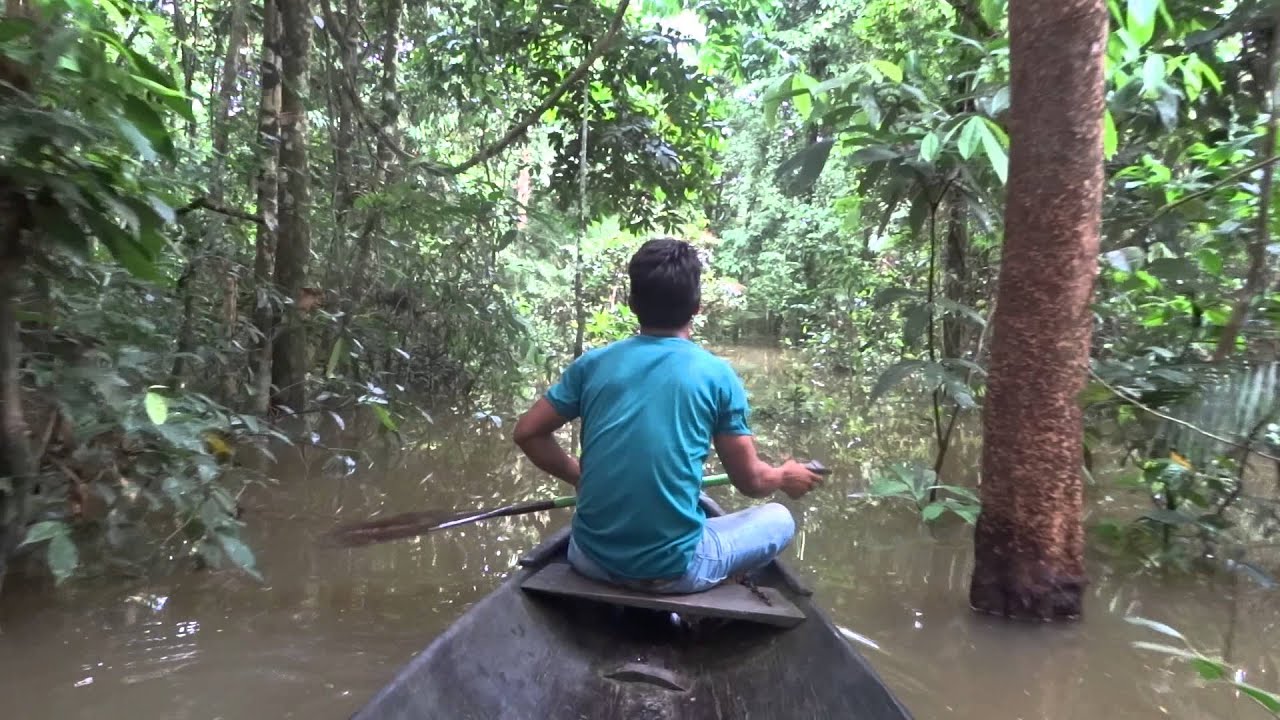 Canoe trip through the Amazon jungle