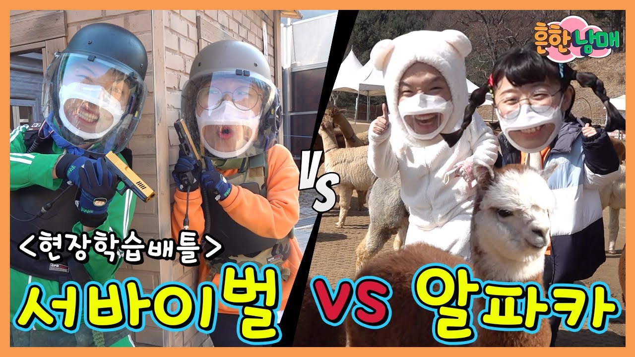 배틀 현장학습!!! ㅋㅋㅋ강원도편 (가리산 레포츠파크vs알파카월드)