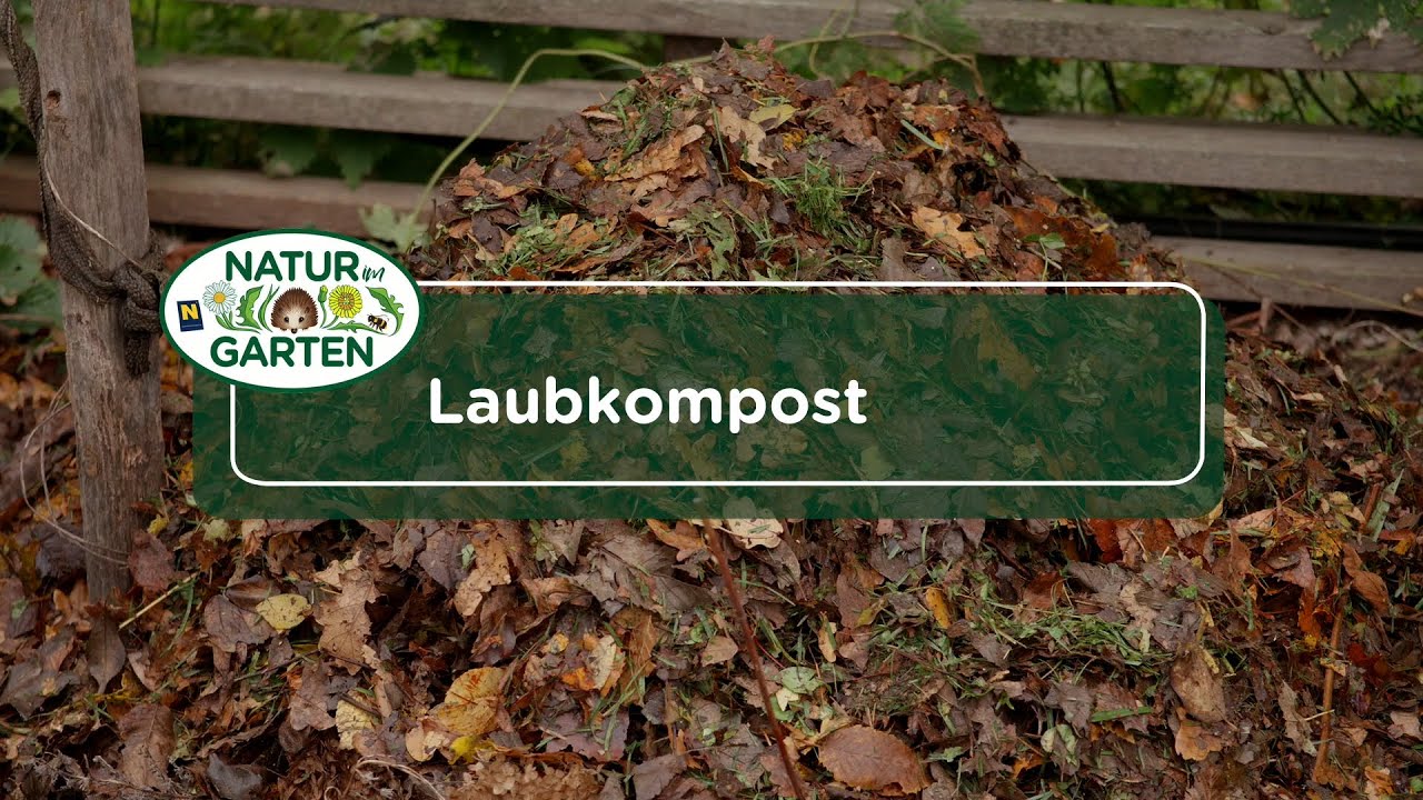 Laubkompost