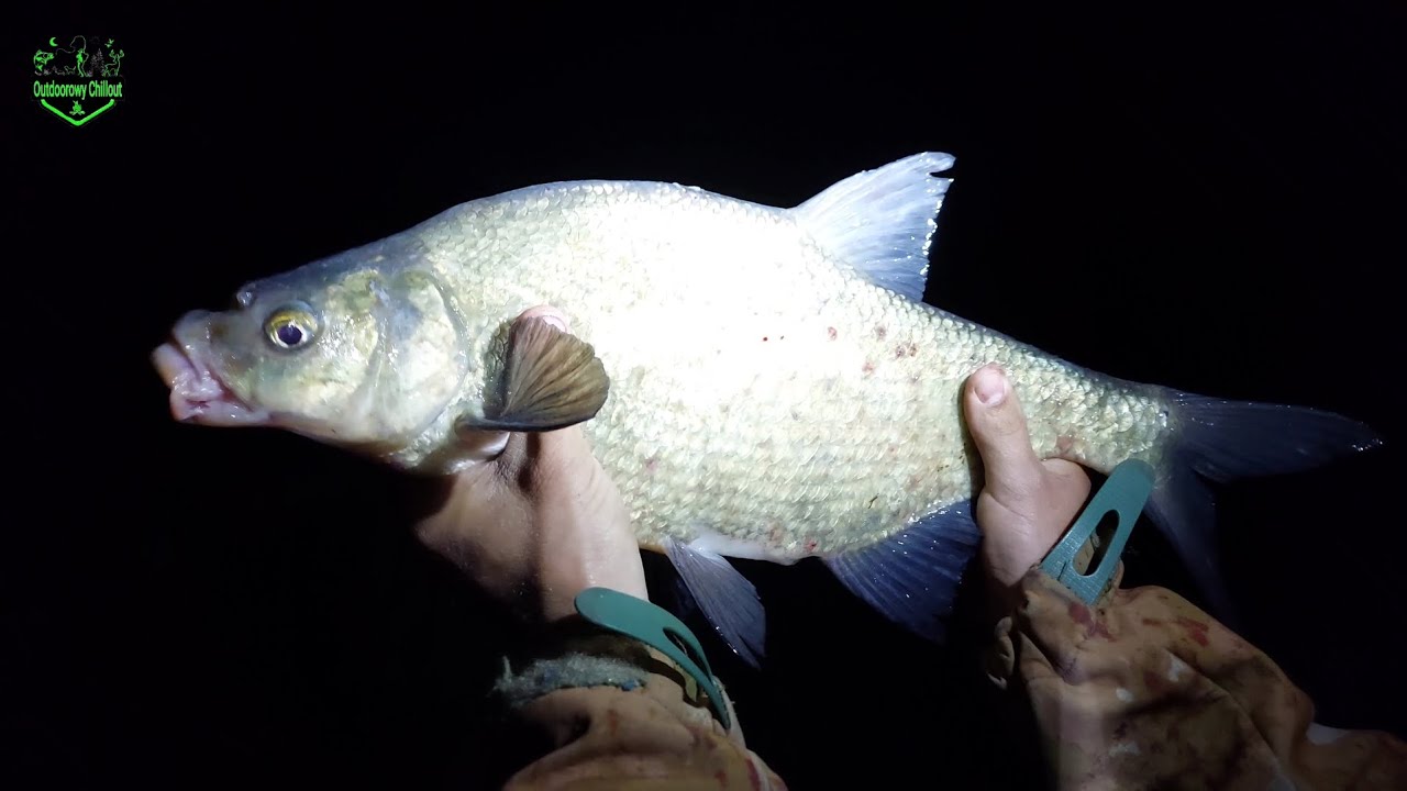 LESZCZ_YKI co jakiś czas wchodziły #ŁOWIMY ze Sławkiem 🎣