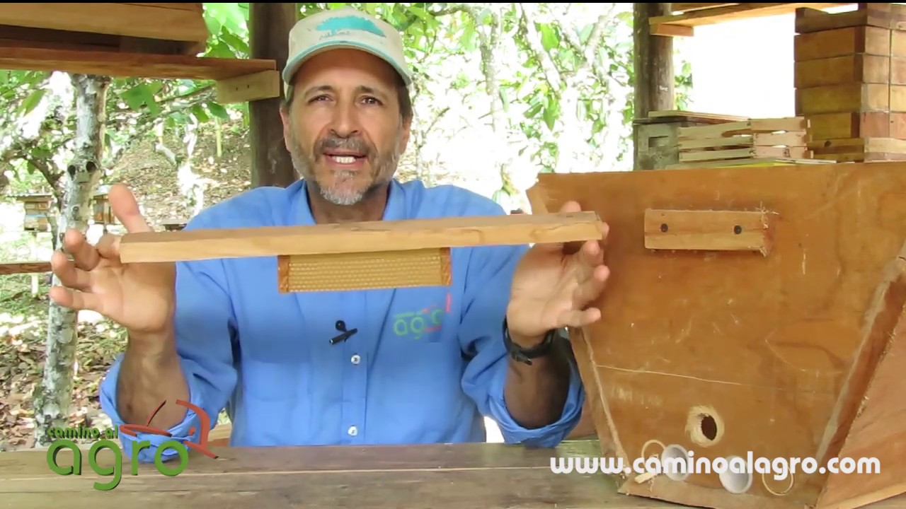Colmena Kenya, marimba o de liston superior,Top Frame Hive