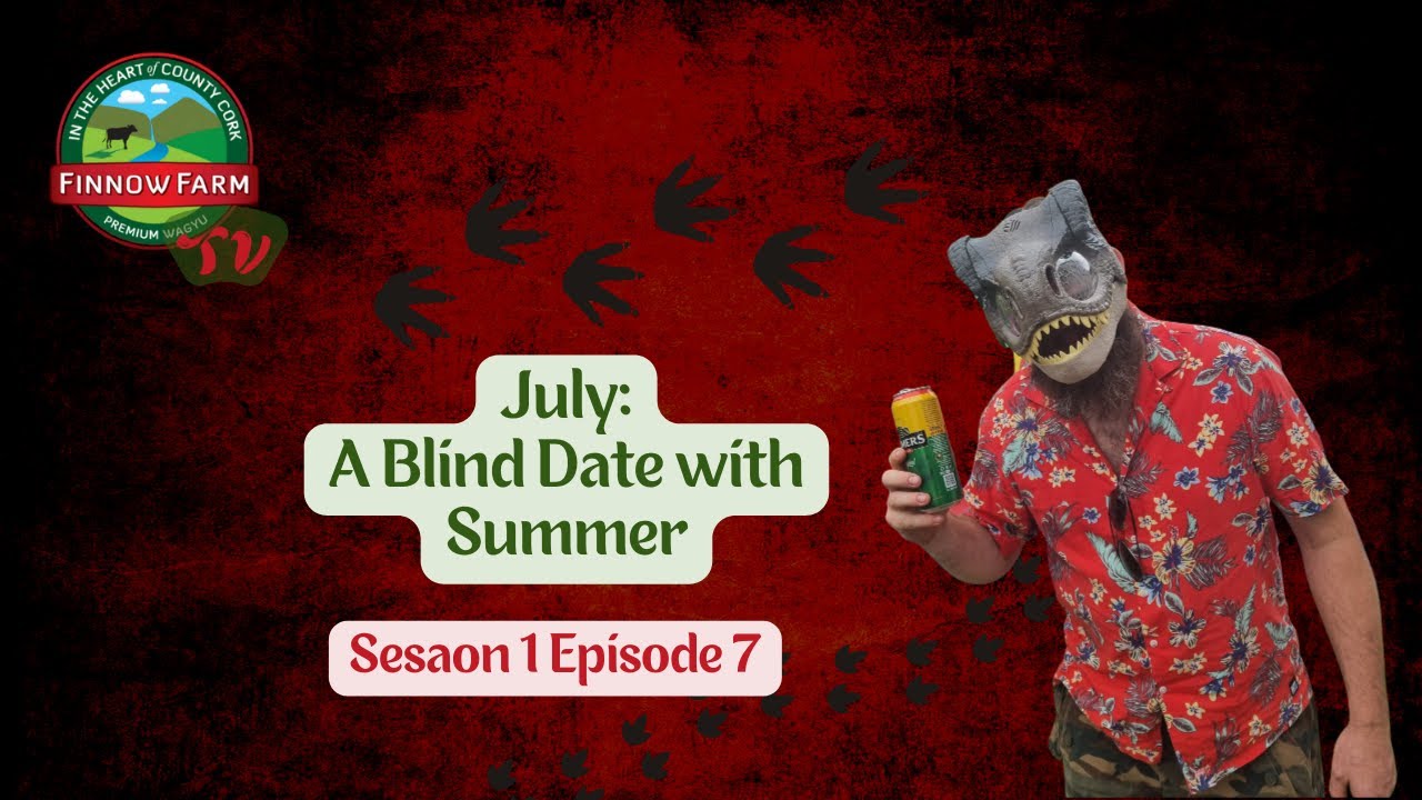 A Blind Date with Summer S1E7 #wagyu #farm #finnowfarm #farming #farmlife #beef #japanese