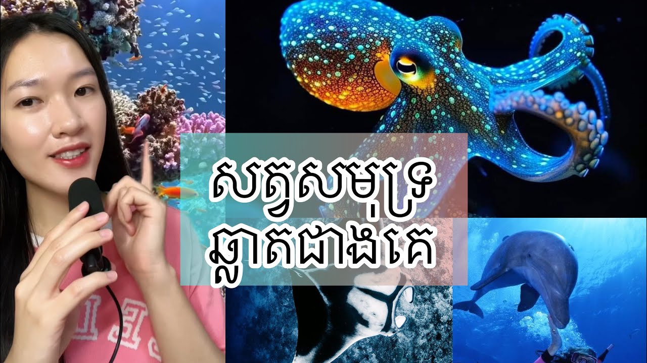 សត្វសមុទ្រ ឆ្លាតជាងគេ - The smartest sea animal