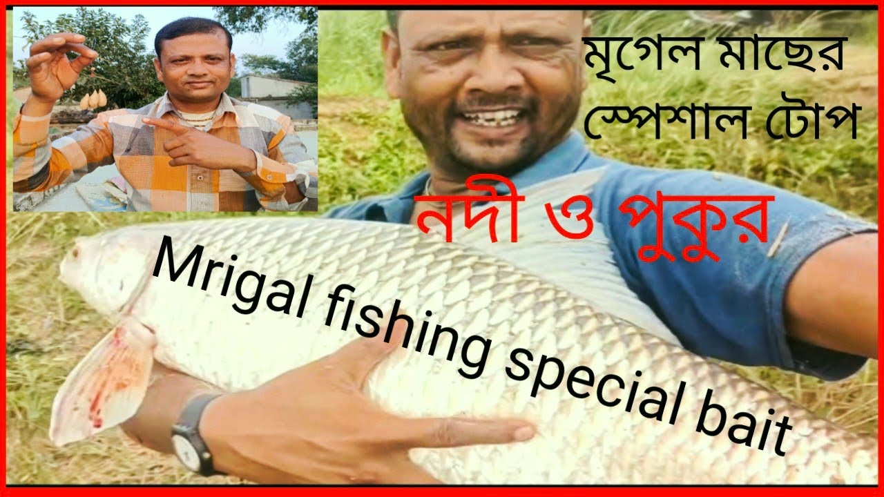 নদী পুকুর স্পেশাল মৃগেল মাছের টোপ 🎣  Mrigal fishing special bait Pond/River's. #fishing #bait #fish.