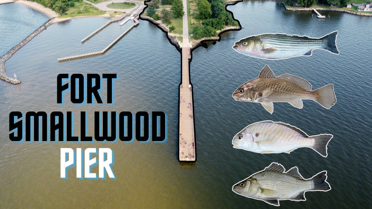 Fishing Fort Smallwood Pier | Patapsco River MD (Rockfish,Croaker, White Perch, Spot)