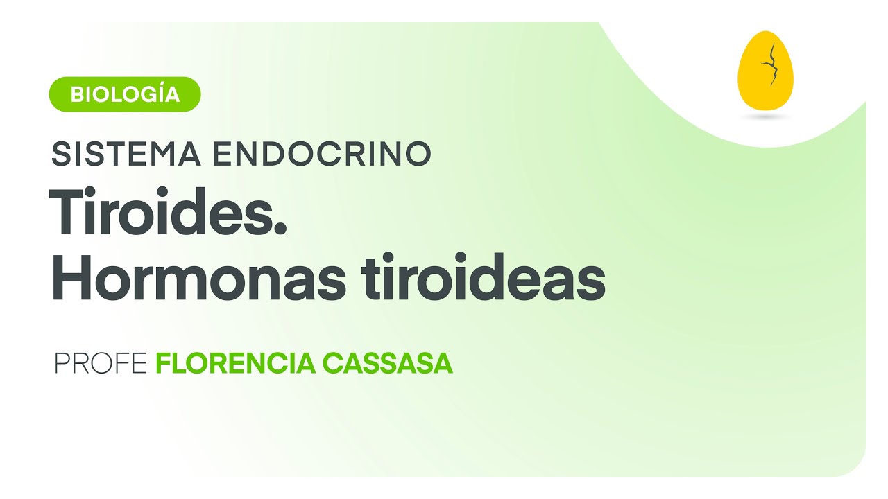 Tiroides. Hormonas tiroideas | Biología | Sistema Endocrino | V5 | Egg Educación