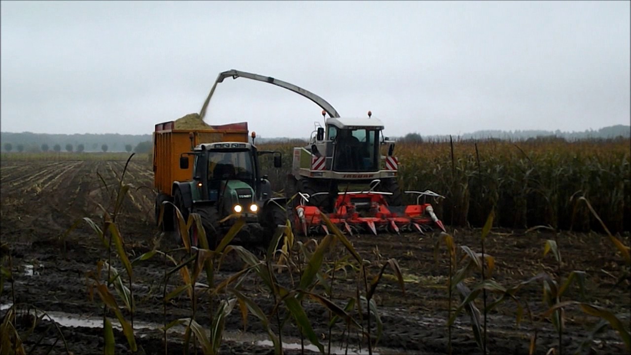 Mais hakselen  Loonbedrijf Marskamp Marle met 4 combinaties in de mais! Harvest, Ernte,