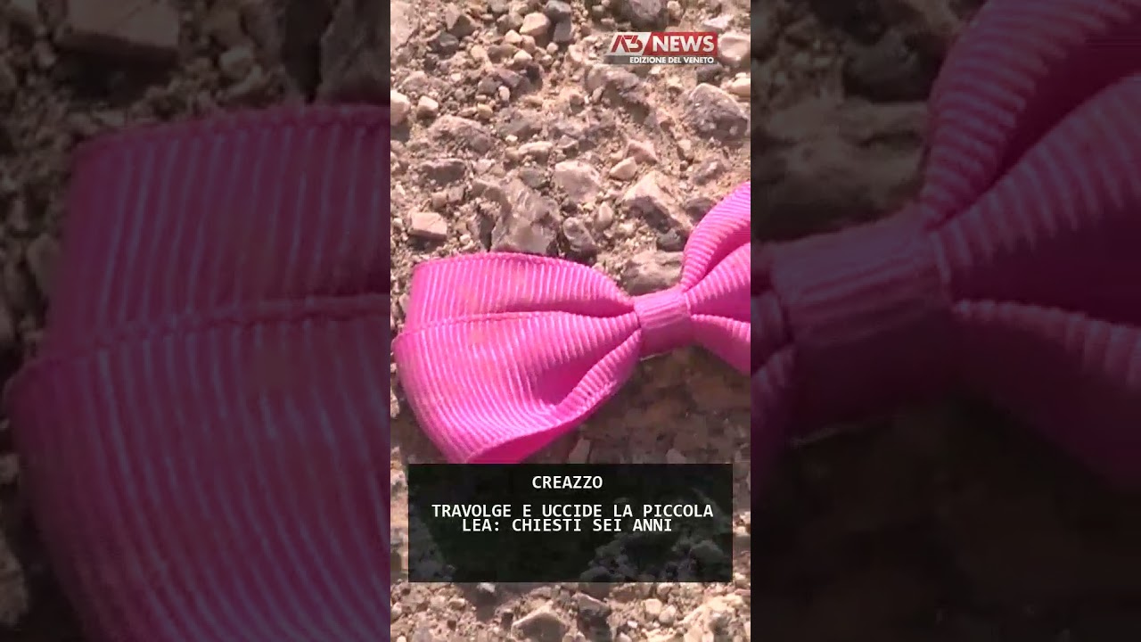 TRAVOLGE E UCCIDE LA PICCOLA LEA: CHIESTI SEI ANNI | 14/04/2026