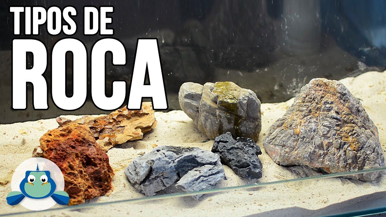 BUSCANDO las ROCAS PERFECTAS para nuestro AQUASCAPE