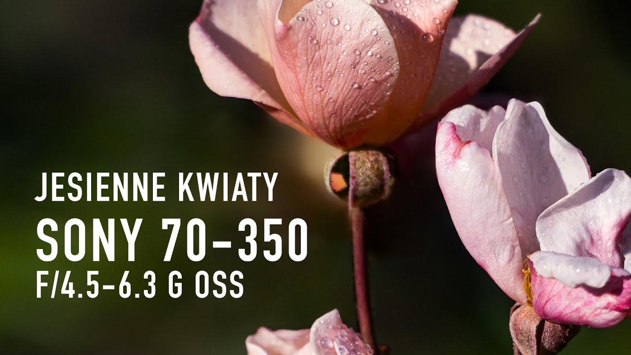 Sony 70-350 – pierwsze podejście