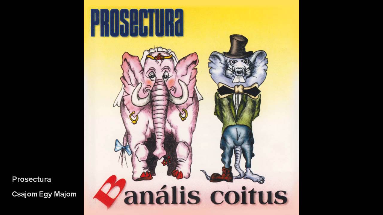 Prosectura - Csajom Egy Majom