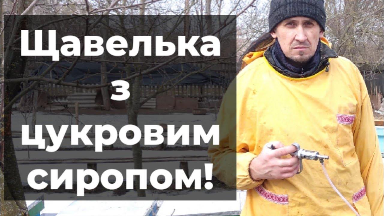 Боротьба з кліщем навесні