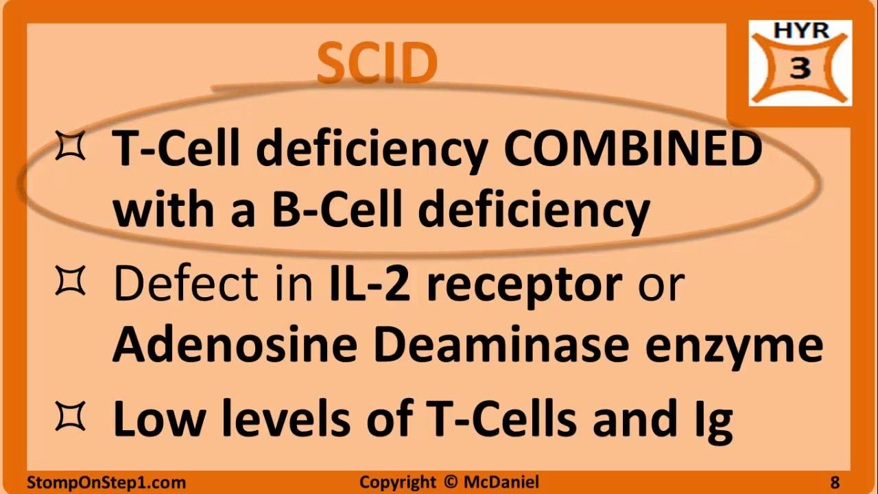 Immunodeficiency: DiGeorge Syndrome SCID IgA Deficiency Nitroblue Tetrazolium MPO