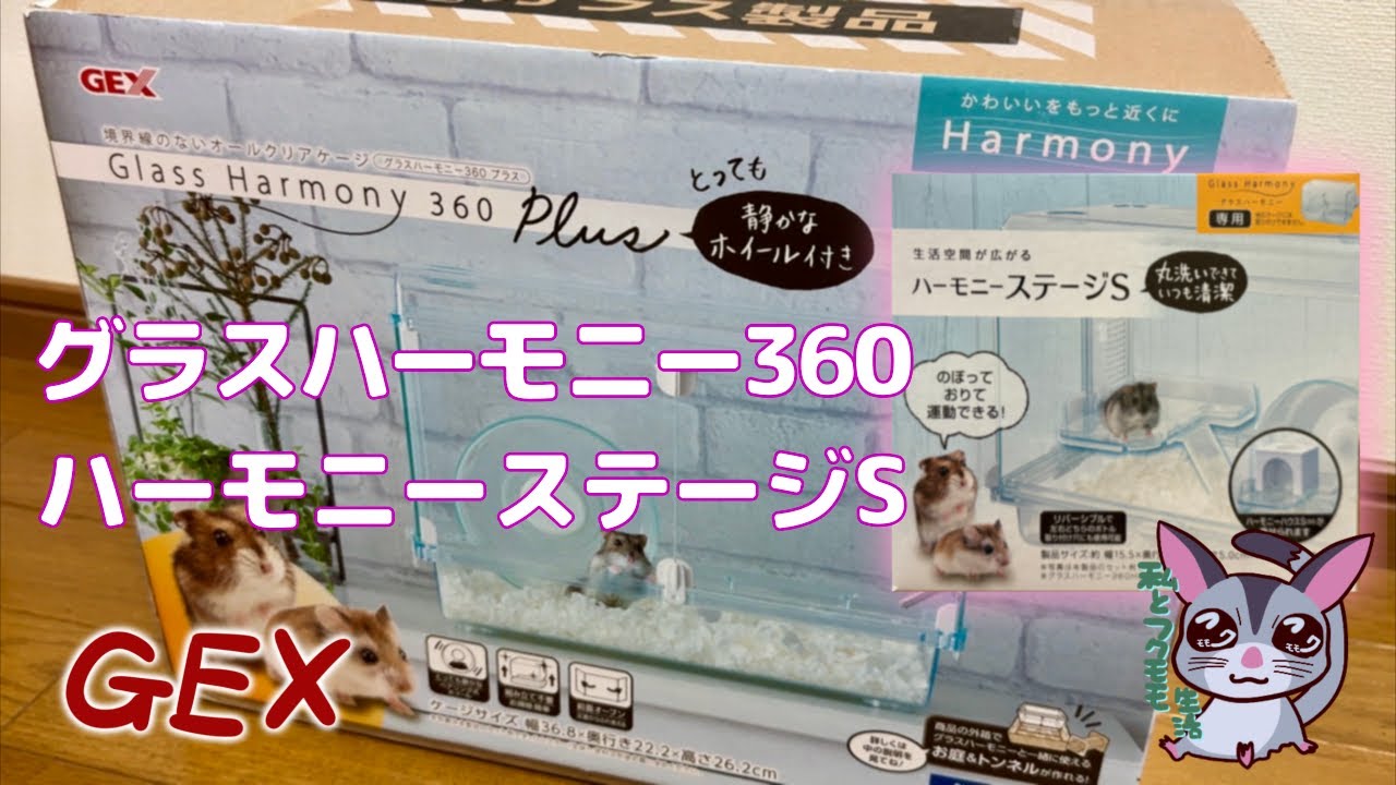 【その他】GEX グラスハーモニー360PLUSとハーモニーステージS【アフリカヤマネ】