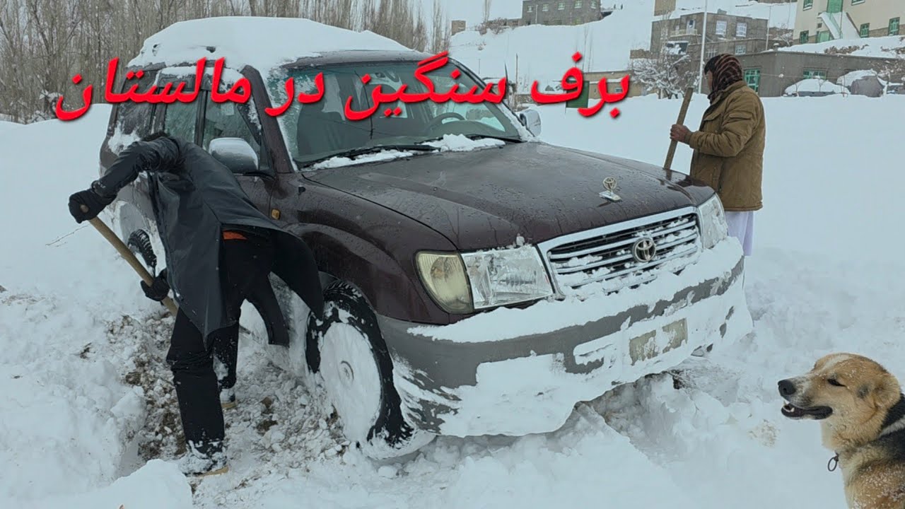 برف شدید امروز مالستان بالای ۵۰ سانتی متر #برف #افغانستان #غزنی #مالستان 
