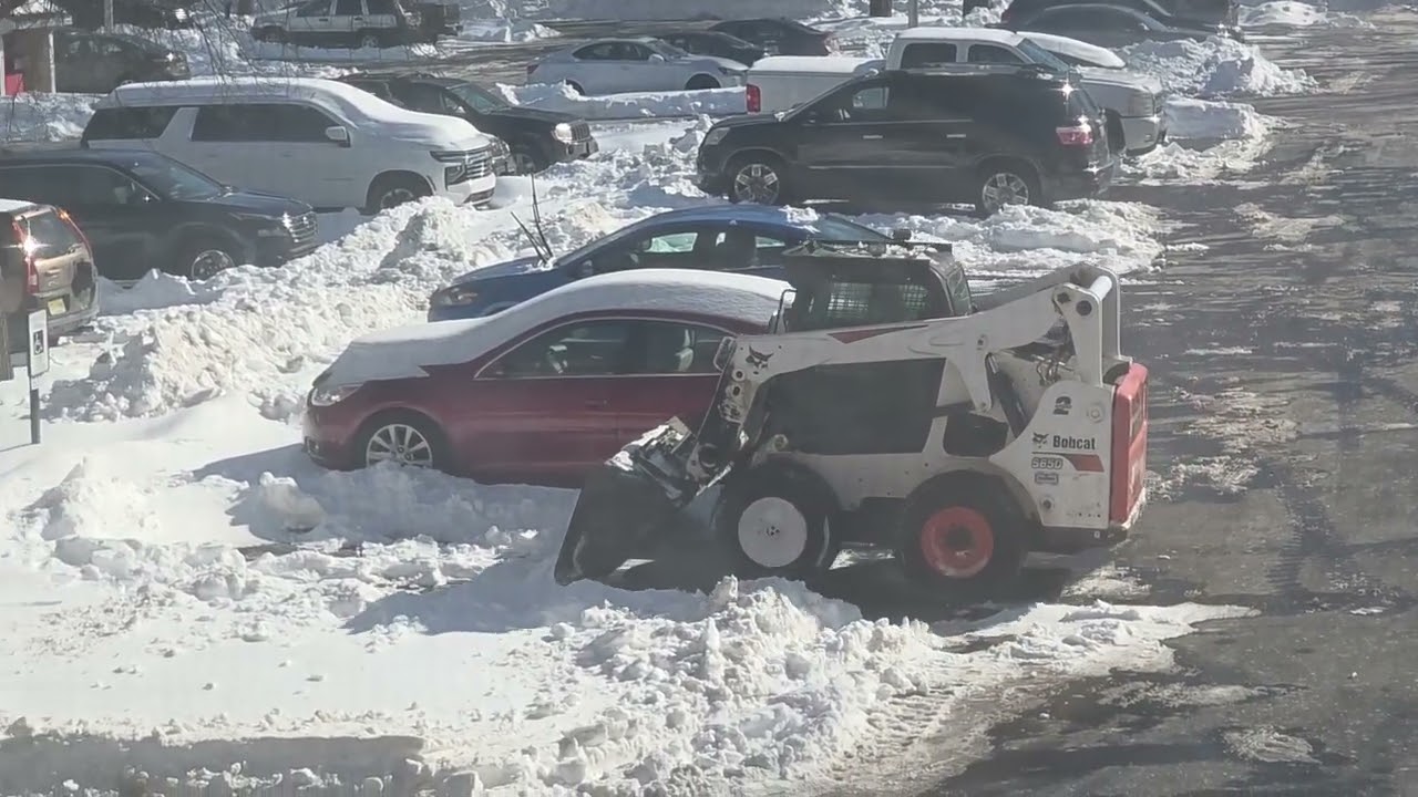 Bobcat working in the snow