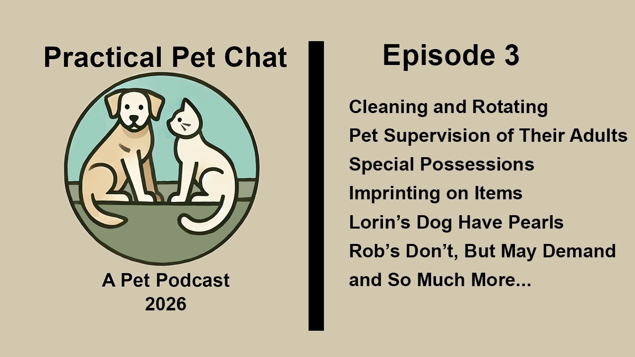 Practical Pet Chat - Episode 3 - 2026 - Out With Old In With The New   Woobies, Chews, Toys and More