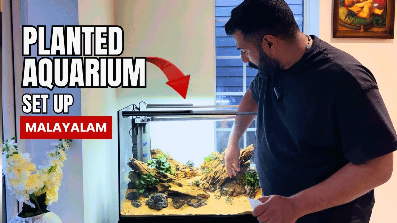 ഈ AQUARIUM നിങ്ങൾക്കും വീട്ടിൽ സെറ്റ് ചെയ്യാം | How To Build This Planted Tank #aquascape