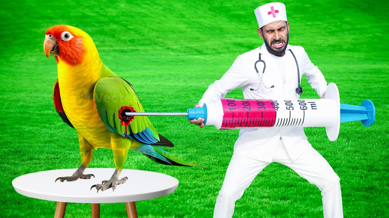 Must Watch Top New Very Special Trending Comedy Video 2025 Injection Wala Comedy Video Doctor E174