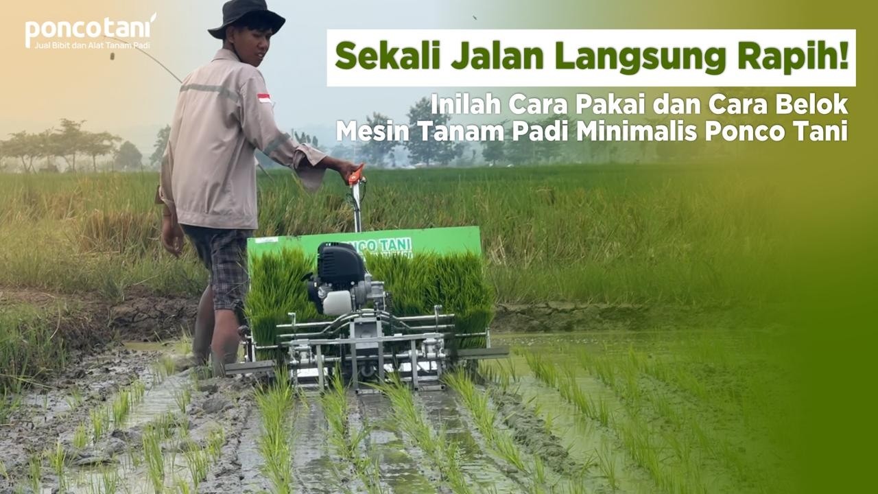 Sekali Jalan Langsung Rapih | Alat Tanam Padi Ponco Tani