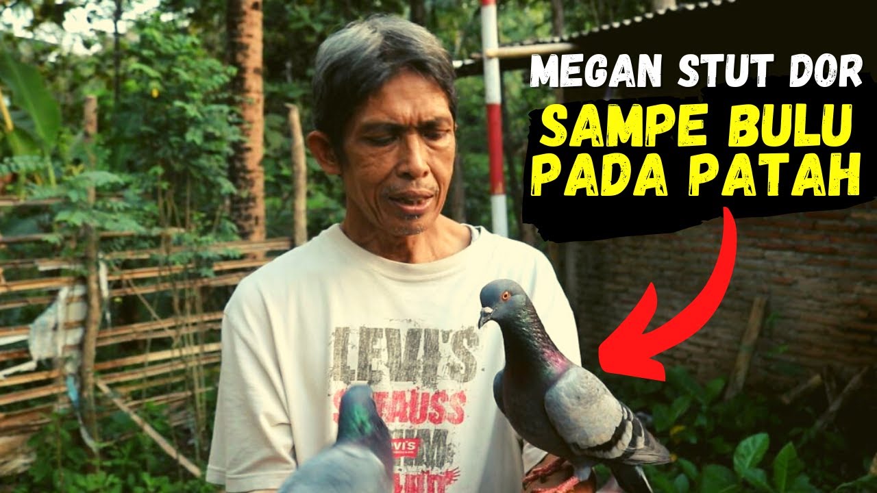 Megan Mbah Gon Stut Kenceng Sampai Bulunya Pada Patah