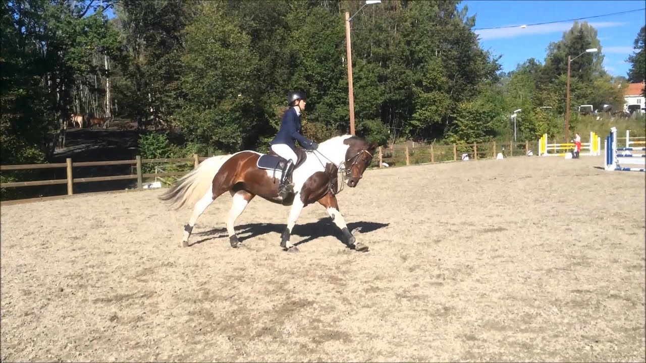 Iwata Monique 90 cm Bærum 10.9.2015