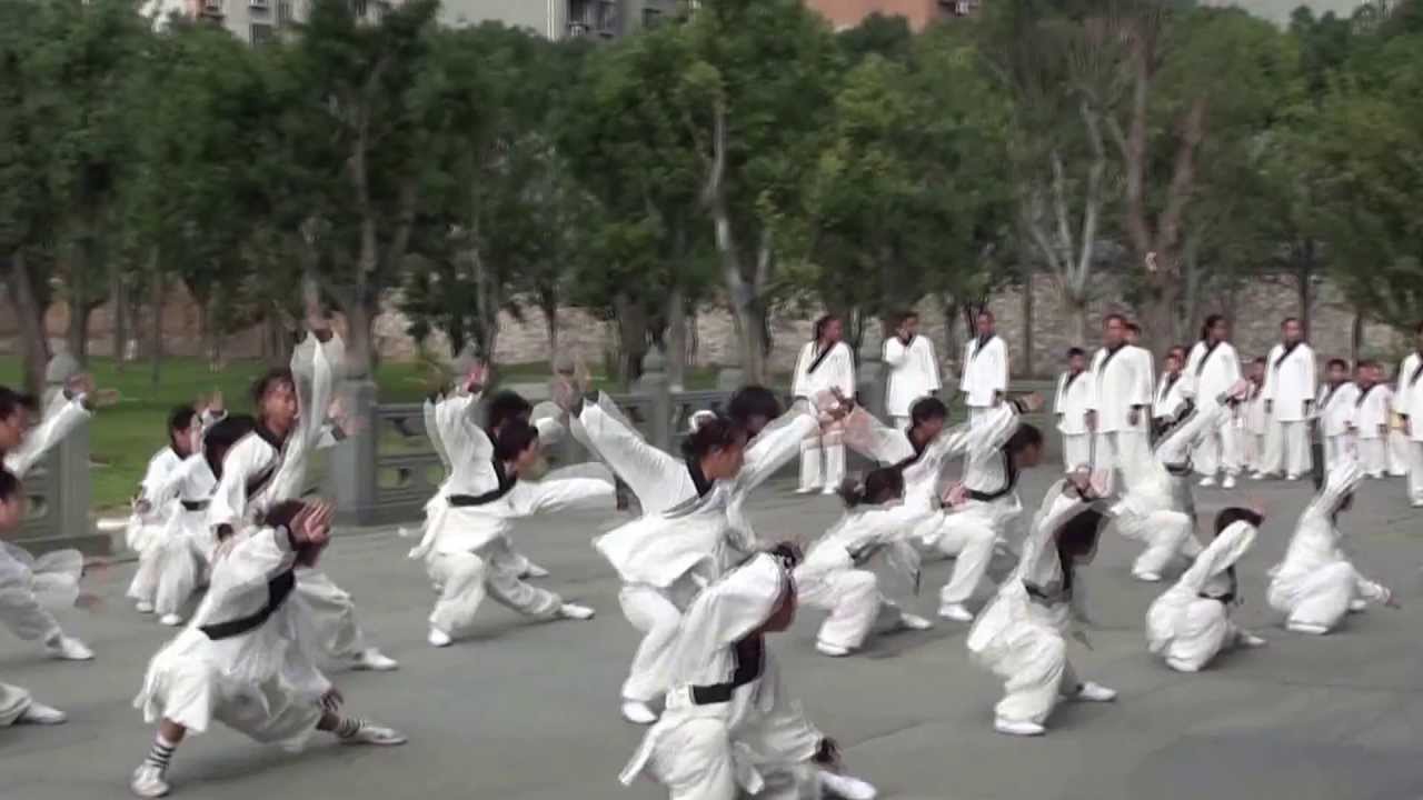Wudang Jie Ben Quan - Taoist Basic Form - Children Performance