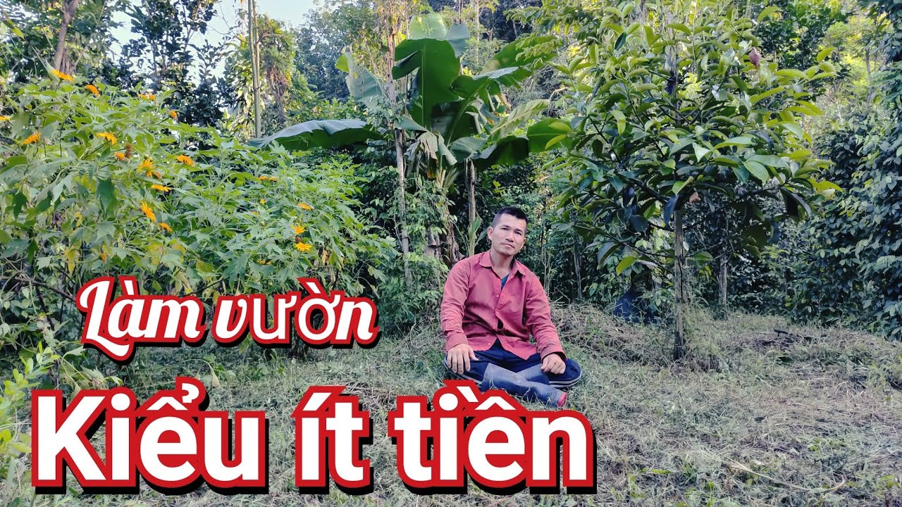 Làm Vườn Khi Ít Tiền - Biến Sự Giới Hạn Thành Nét Độc Đáo Riêng