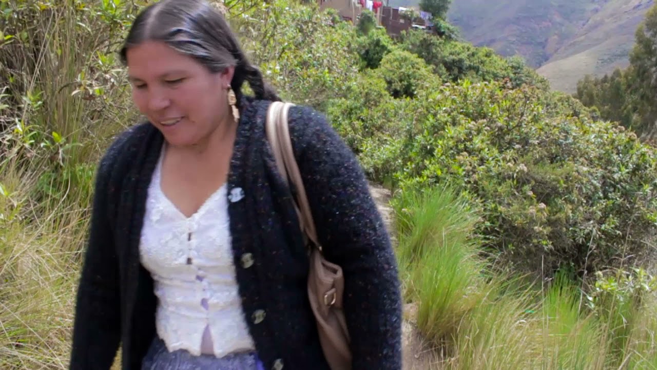 Video recuerdo -  Viaje a mi pueblo Ayopaya (28/11/2018) / JULIA IRIGOYEN