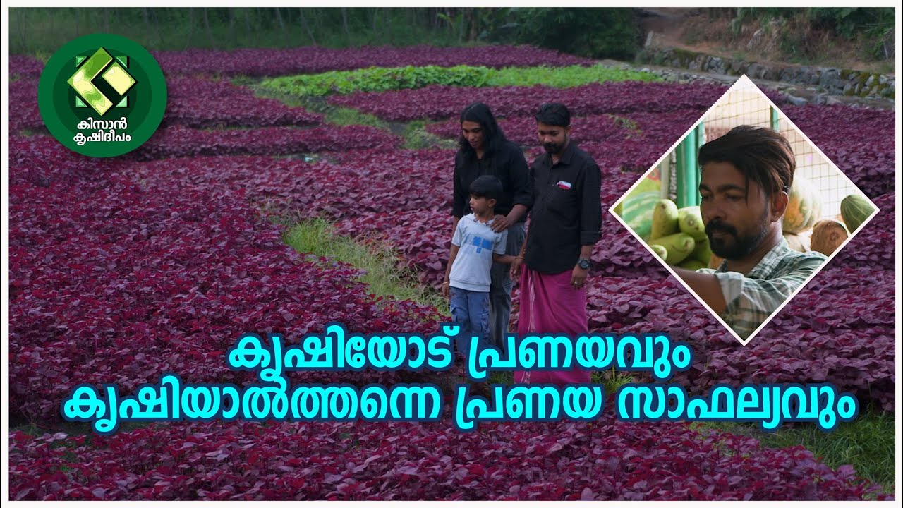 Kissan Krishideepam Episode-1138 Love for farming and fulfillment of love by farming
