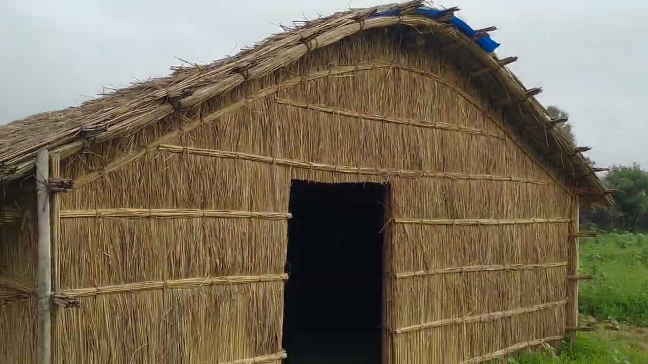 gaon ki hariyali Muslim Ghar kitne shandar kacche Ghar