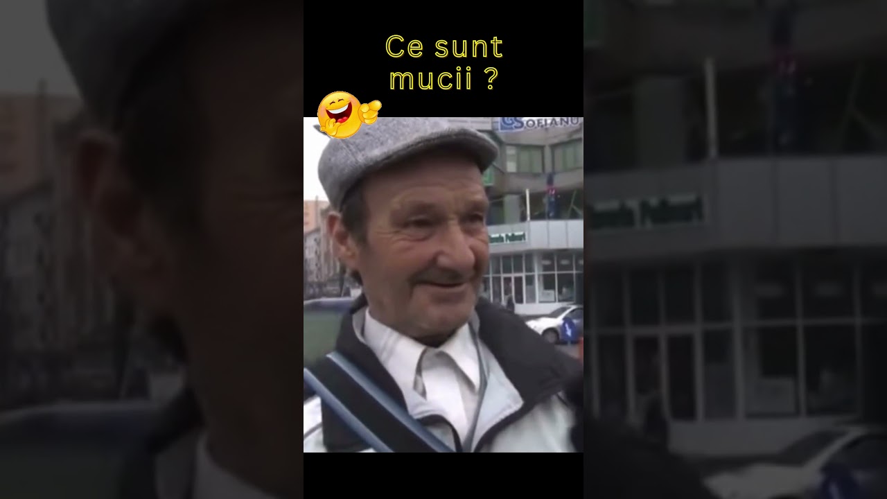 Ce sunt mucii ? 😂 Razi cu lacrimi 😂 #fazeamuzante #umor #amuzante