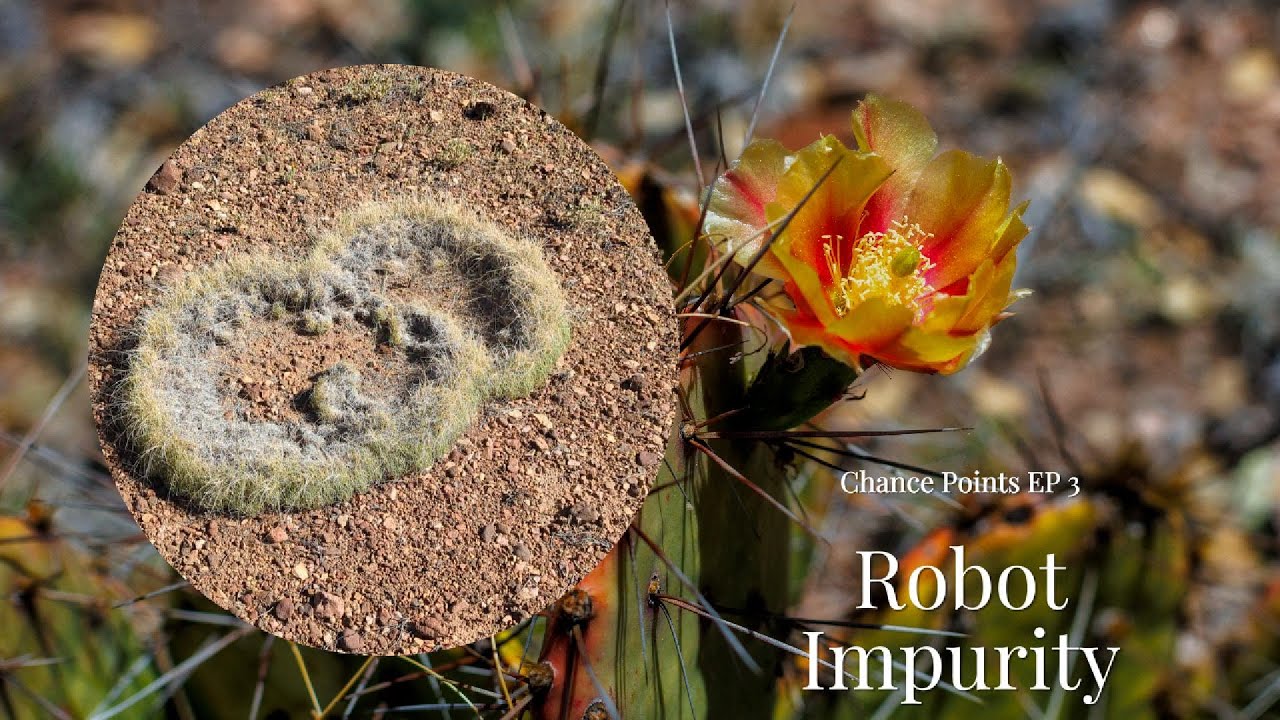 Circles in the Sand | Chance Points E03 | Robot Impurity