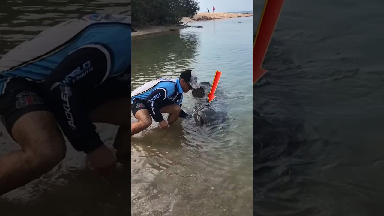 Giant Pike Attacks Fresh Bait #shorts